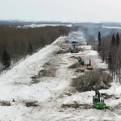 Enviromulch Shuffle 09 Min Enviromulch Shuffle 09 Min